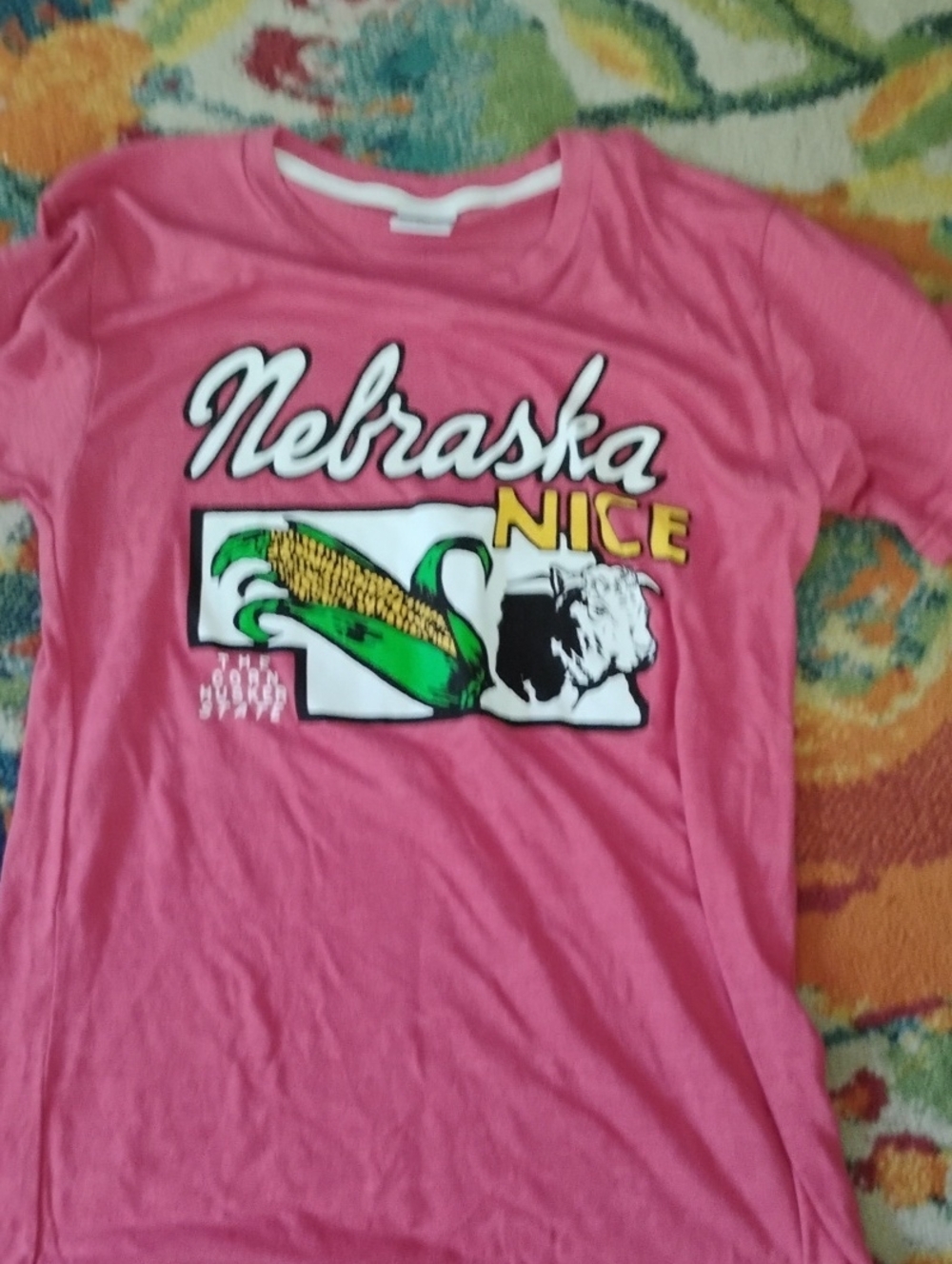 Nebraska Nice Red Unisex Graphic Tee, Small